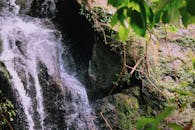 瀑布在茂密的岩石上层叠，周围环绕着茂密的树叶，风景如画
