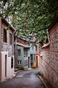 沿着一条风景如画的小巷漫步，两旁是色彩缤纷的质朴房屋和郁郁葱葱的绿植