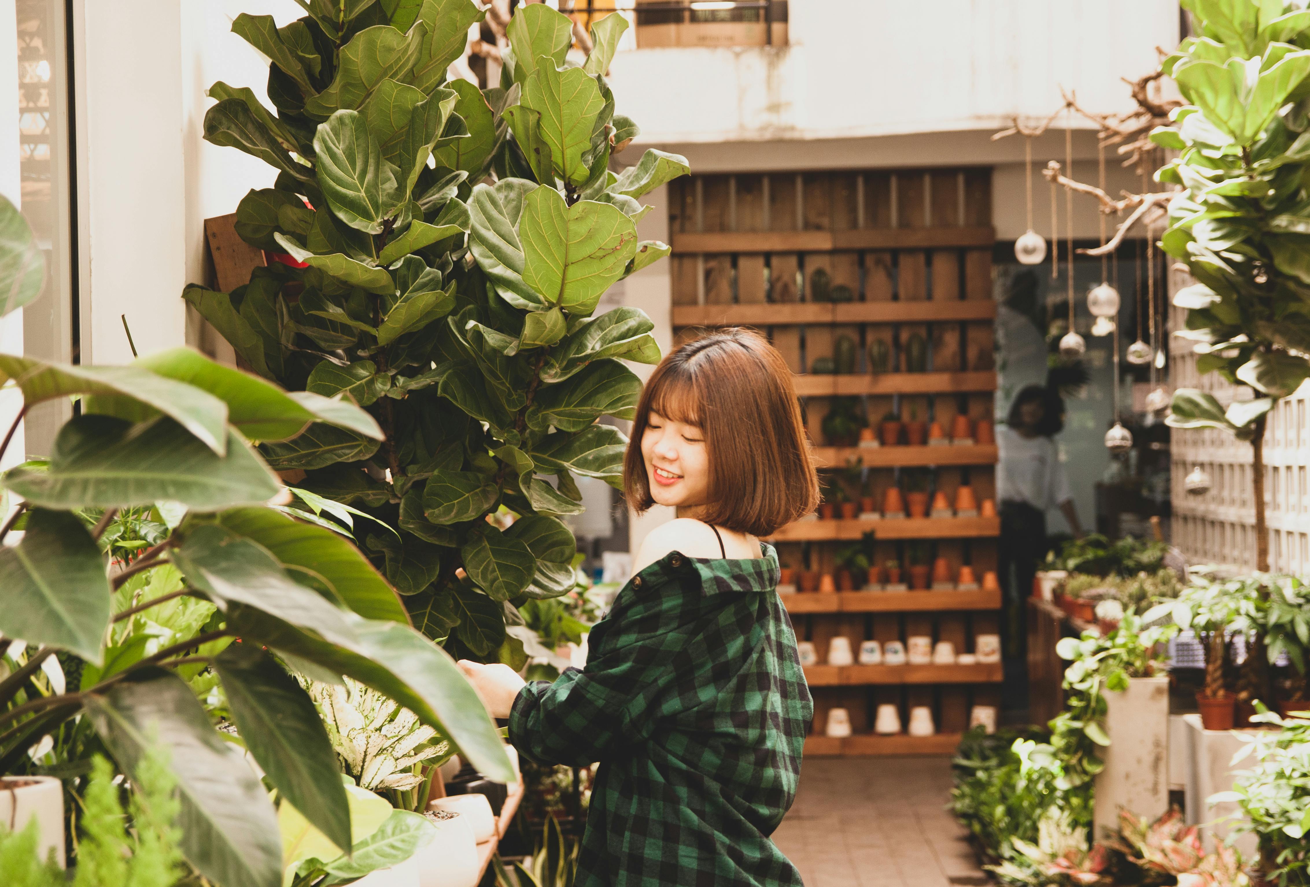 Horticulturist Abra Lee brings Black gardening history to Cleveland event — Photo by Du Tử Mộng on Pexels