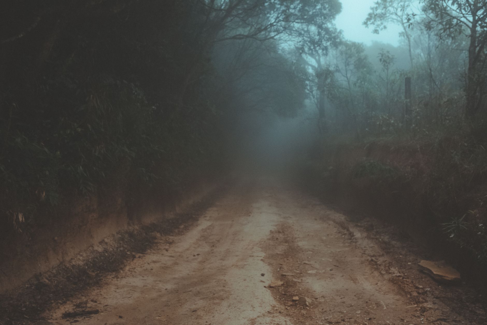 A mysterious foggy road winding through a dense forest, creating an eerie atmosphere.