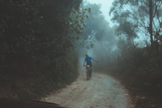 A solitary cyclist navigates a foggy forest path, creating a serene and mysterious atmosphere.