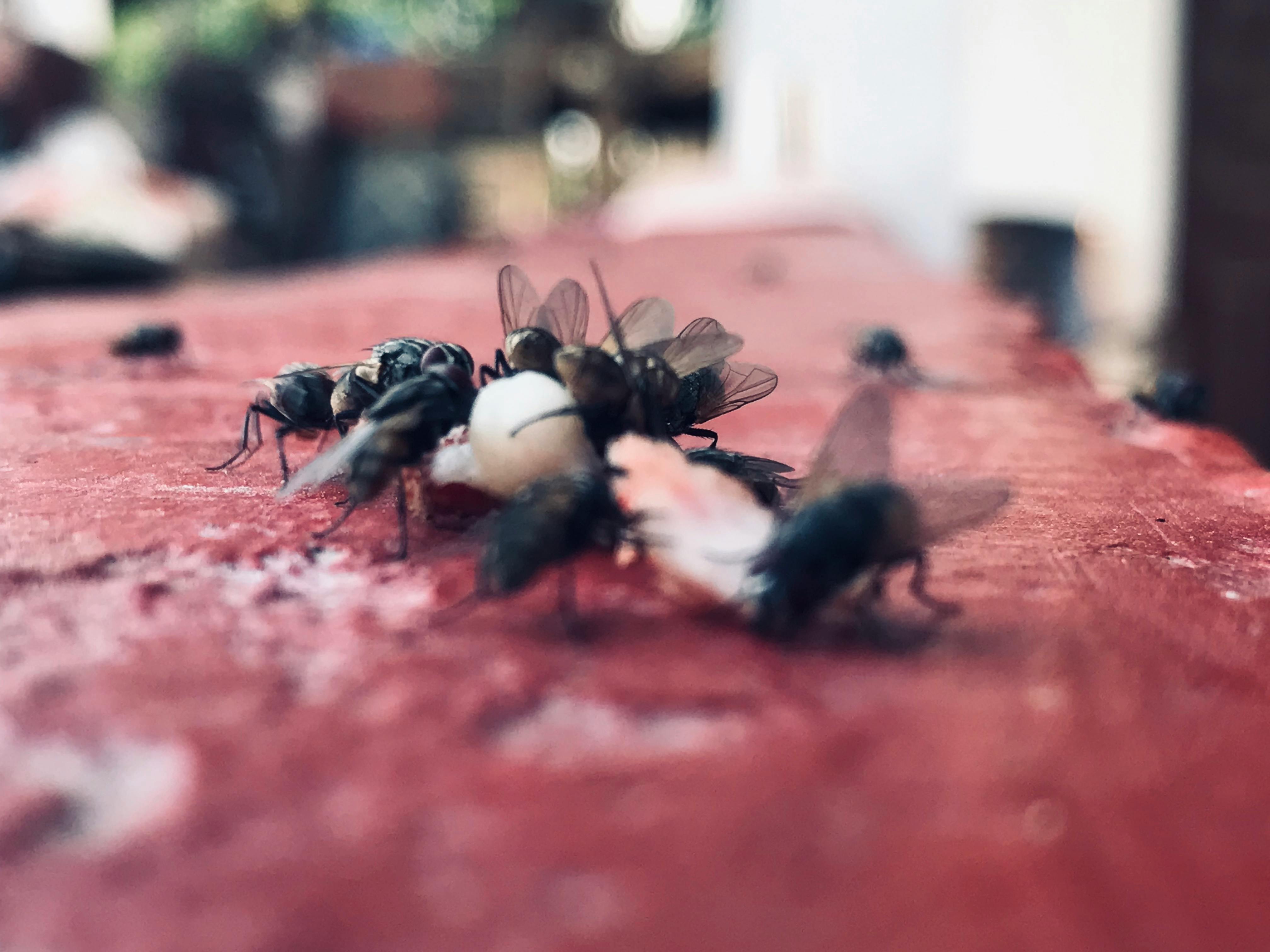 Oil refinery fire and smoke