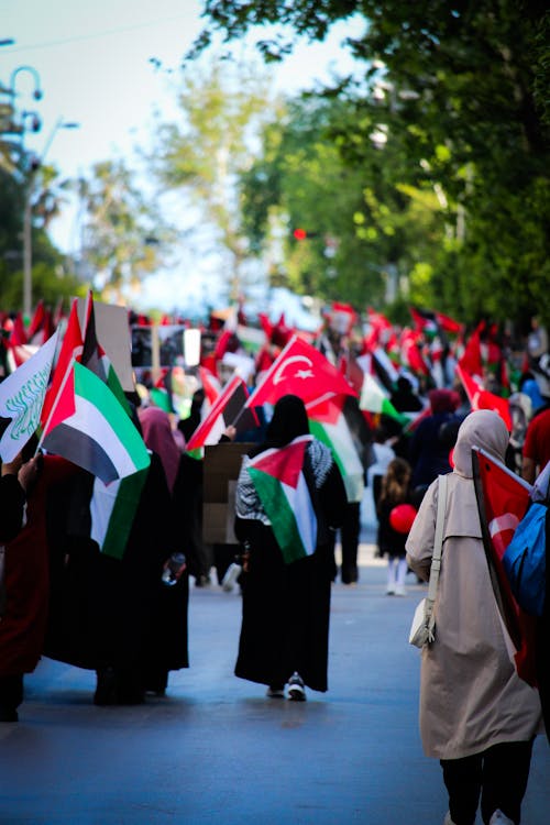 터키 국기, 팔레스타인, 팔레스타인 국기의 무료 스톡 사진