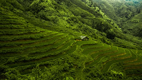 Vista De Terraços Escavados Nas Montanhas