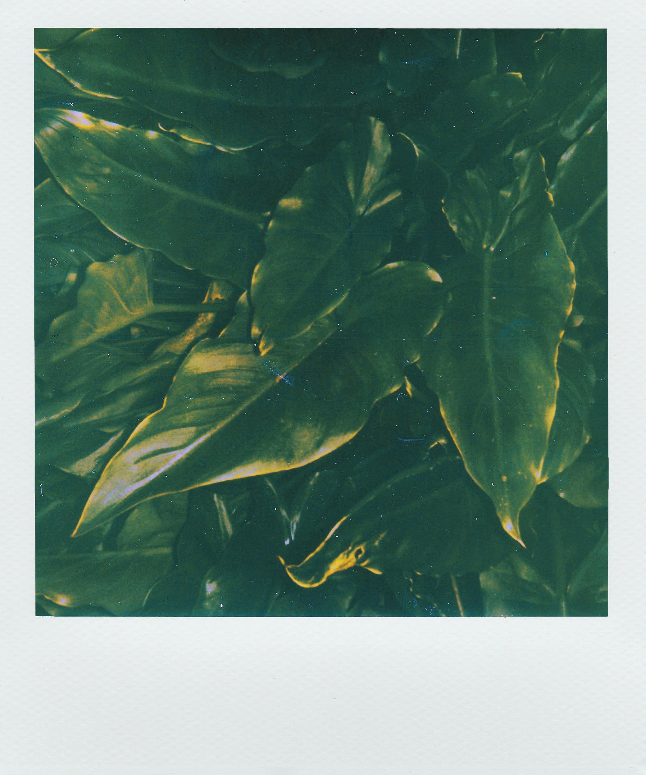 1000+ Fotos de Pattern · Pexels · Fotos de stock gratis