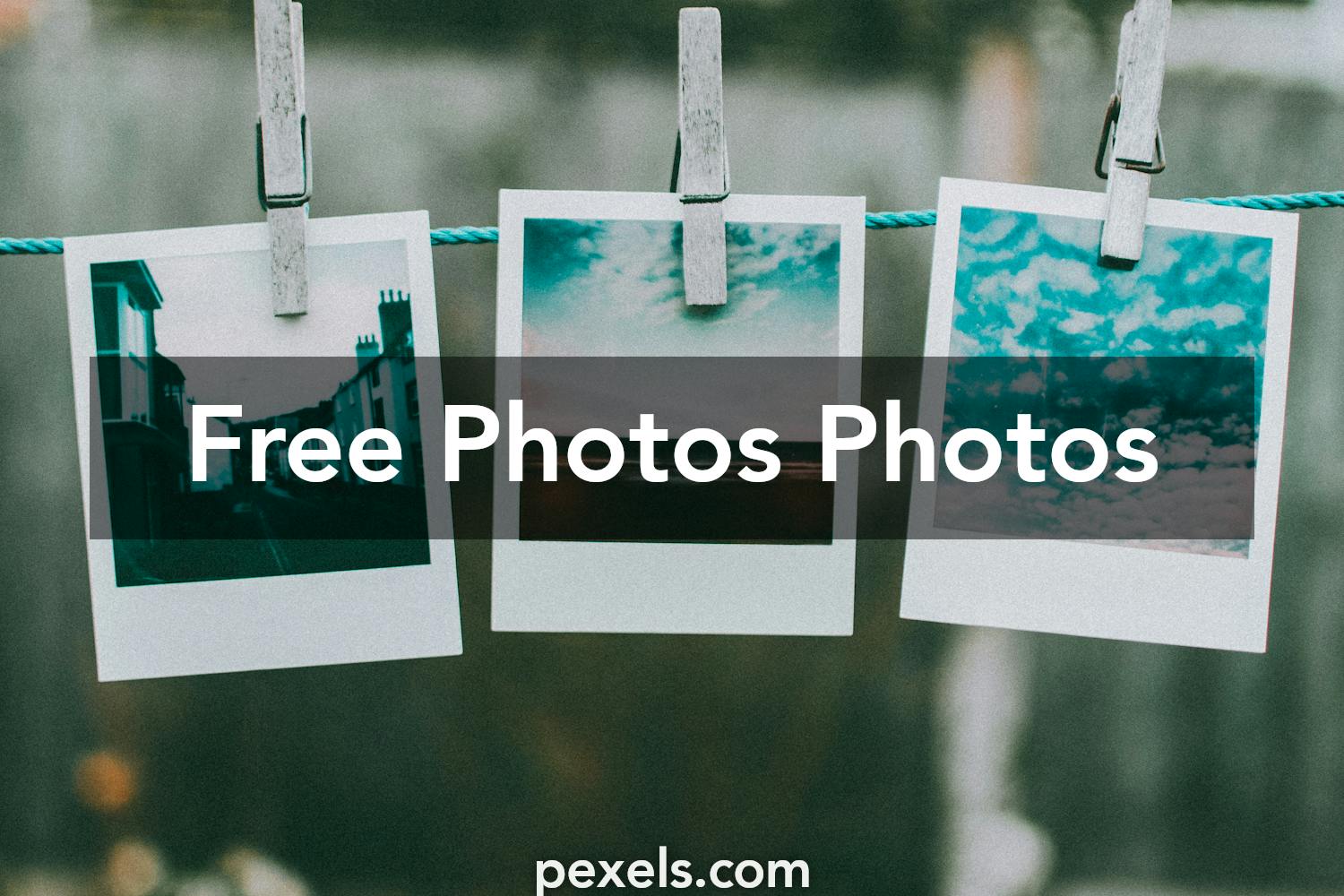 1000+ Interesting Photos Photos · Pexels · Free Stock Photos