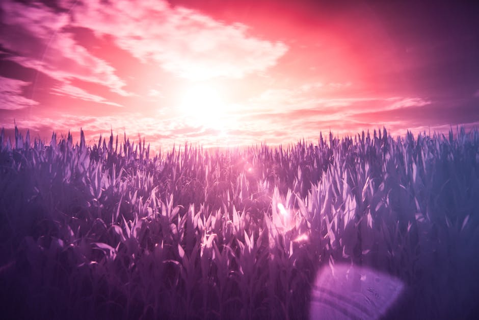 A mystical meadow bathed in infrared hues under a bright sunset, creating a surreal atmosphere.
