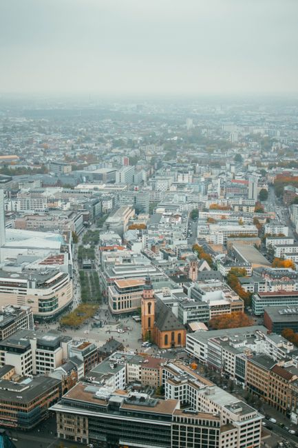 A mesmerizing aerial view of Frankfurt's urban landscape during autumn, showcasing architecture and vibrant foliage.