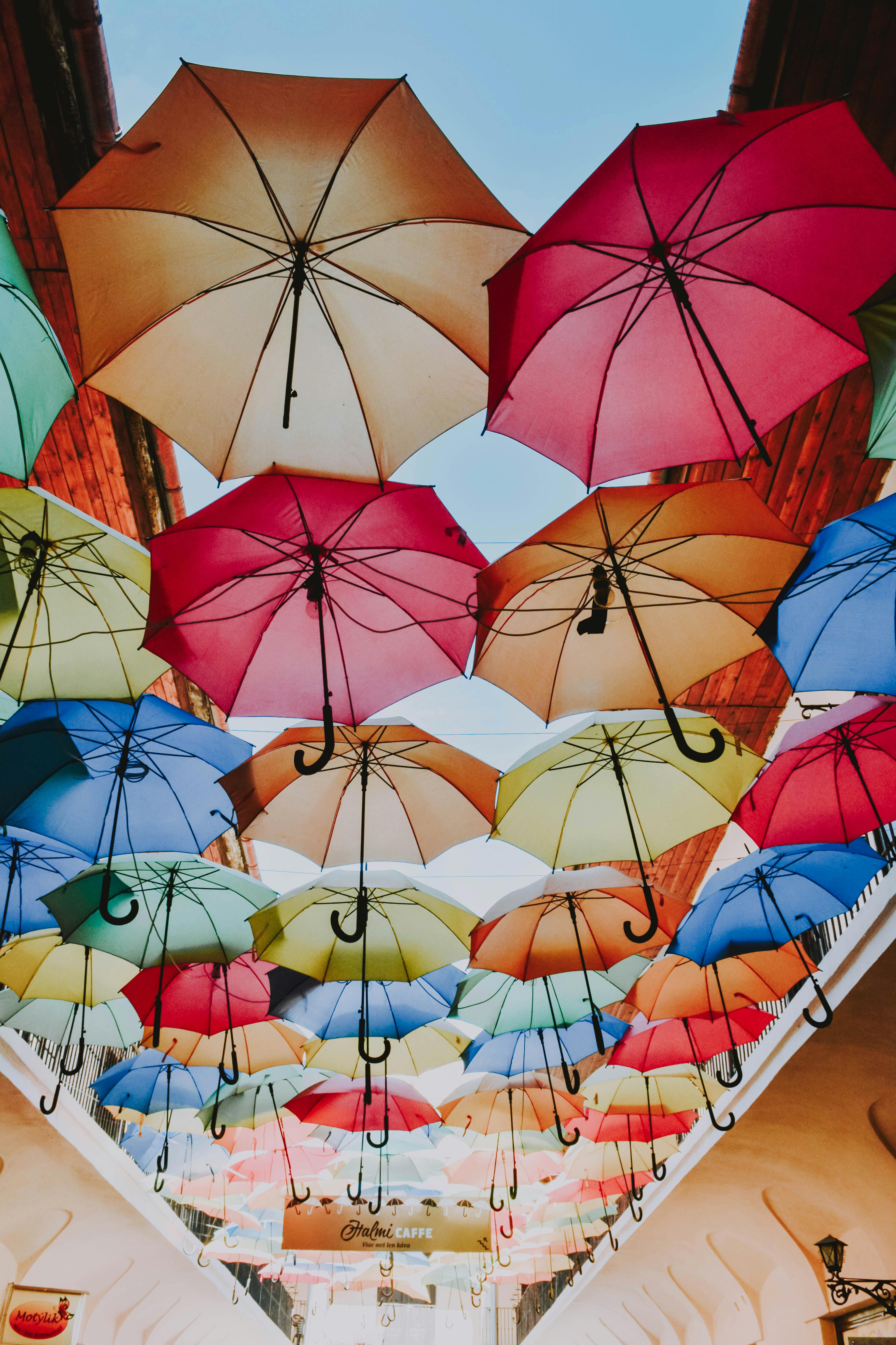 Low Angle View Of Assorted Coloured Umbrellas · Free Stock Photo