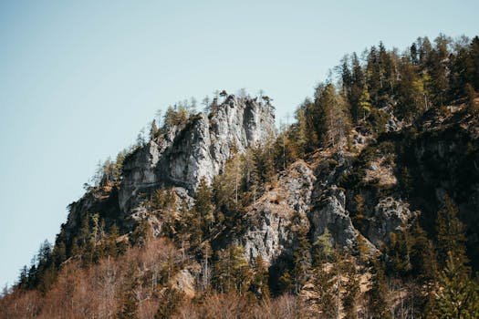 晴朗的天空下，针叶树环绕着岩石山峰