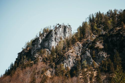 Free Captivating view of rocky mountain peaks surrounded by conifer trees under clear skies. Stock Photo