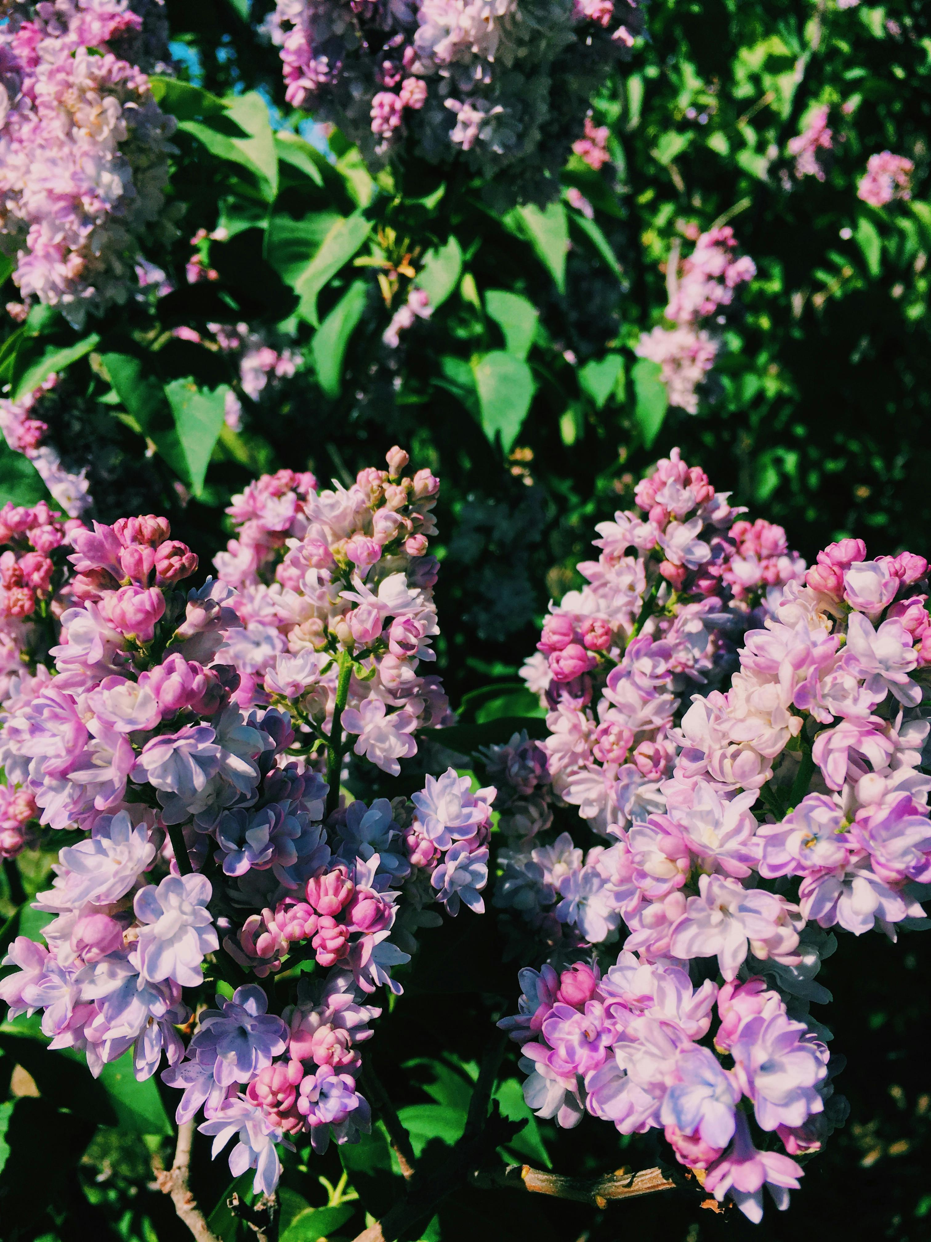 Strapless Bandeau Bra — front