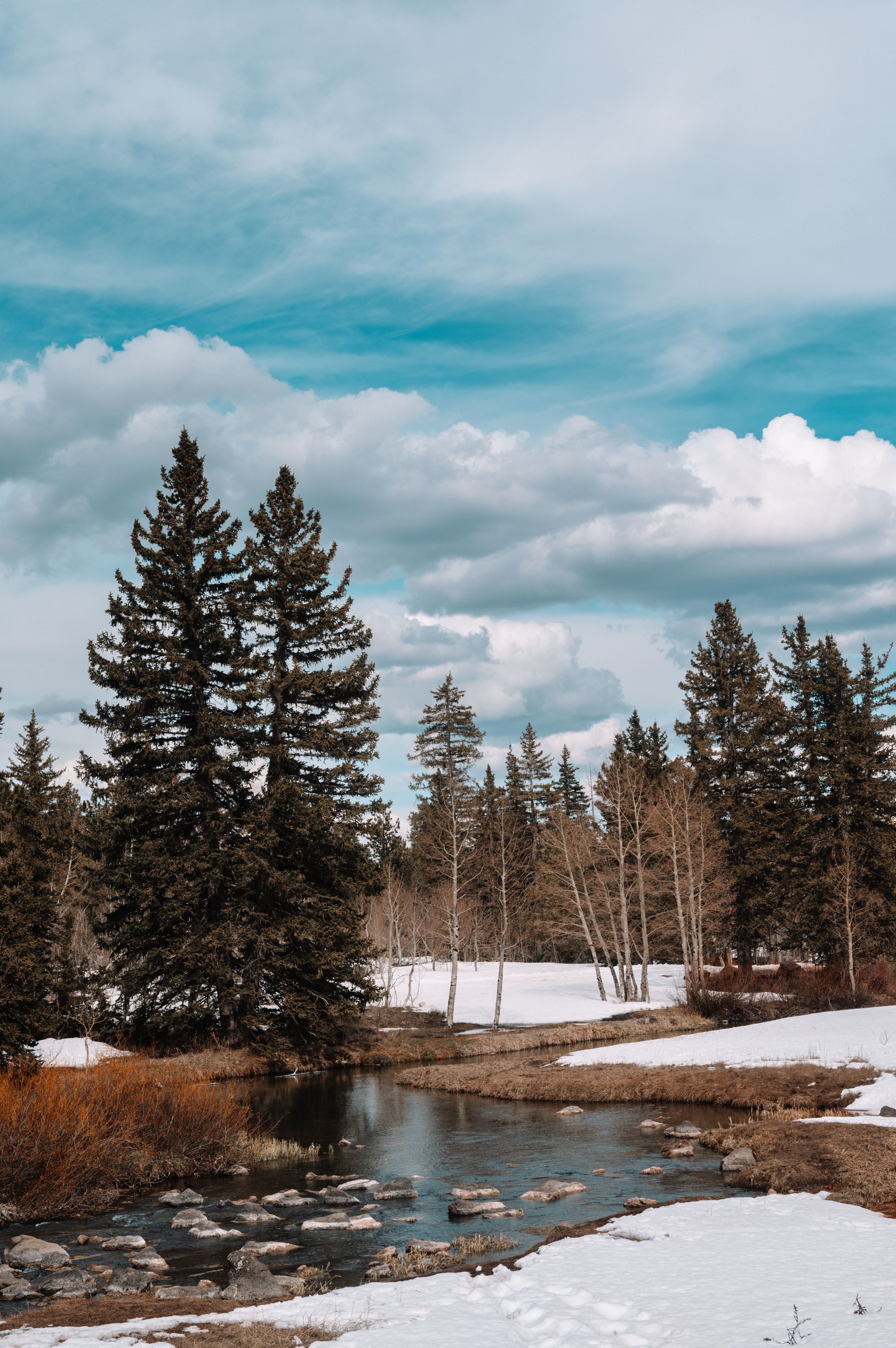 A snowy landscape with a river and trees · Free Stock Photo