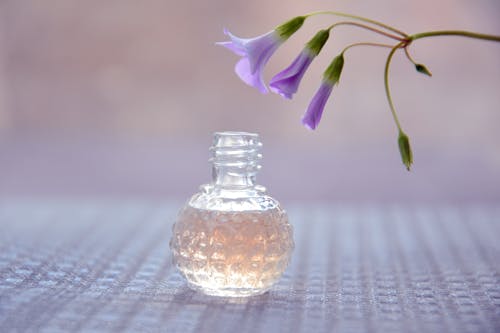 Kostenloses Stock Foto zu aromatherapie, blütenknospen, duft