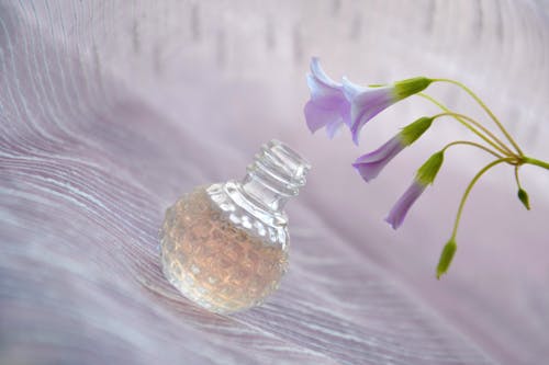 Fotobanka s bezplatnými fotkami na tému aromaterapia, fľaša, kvety