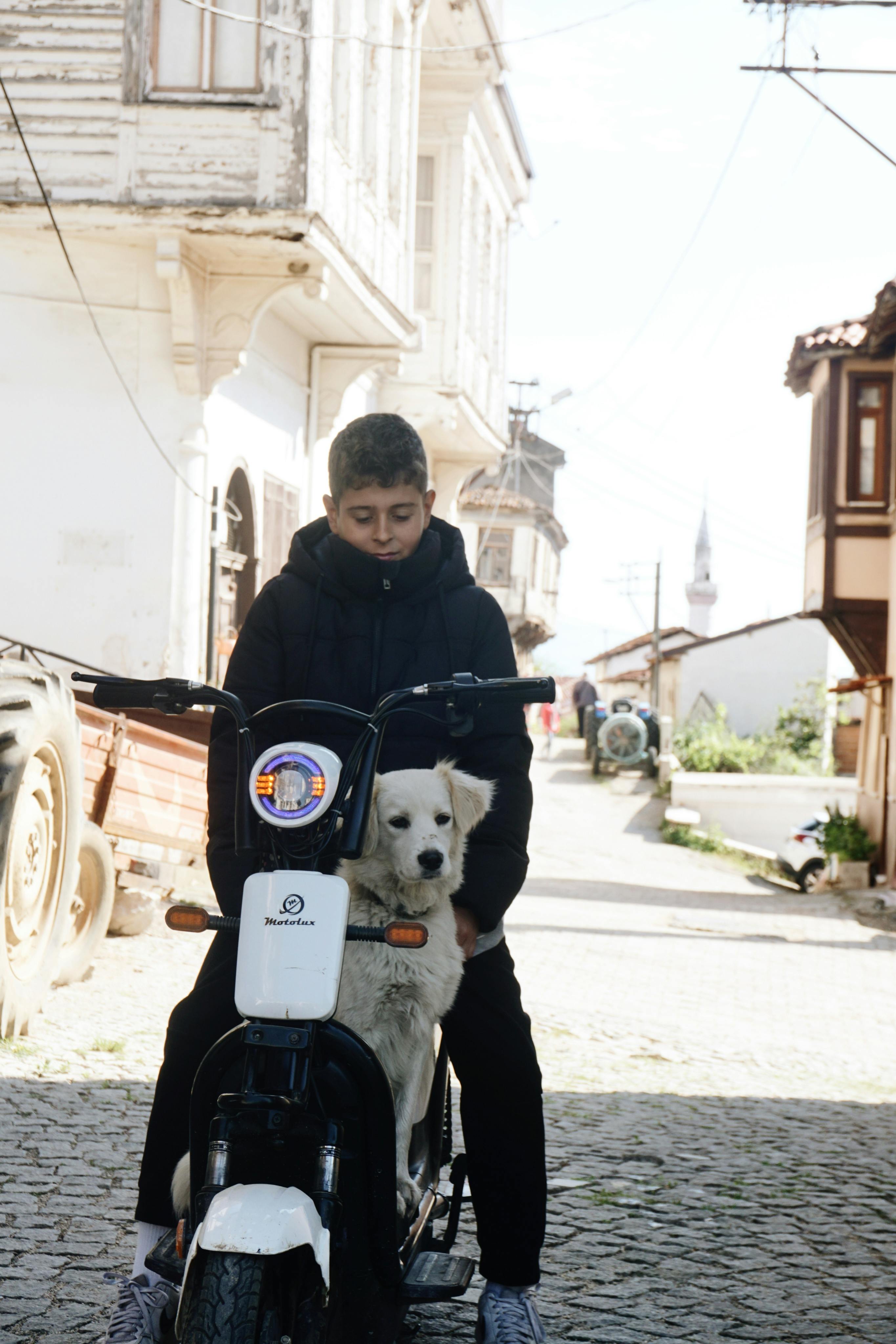 a boy sitting on a motor scooter with his dog