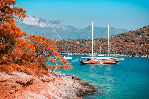 Brown Boat