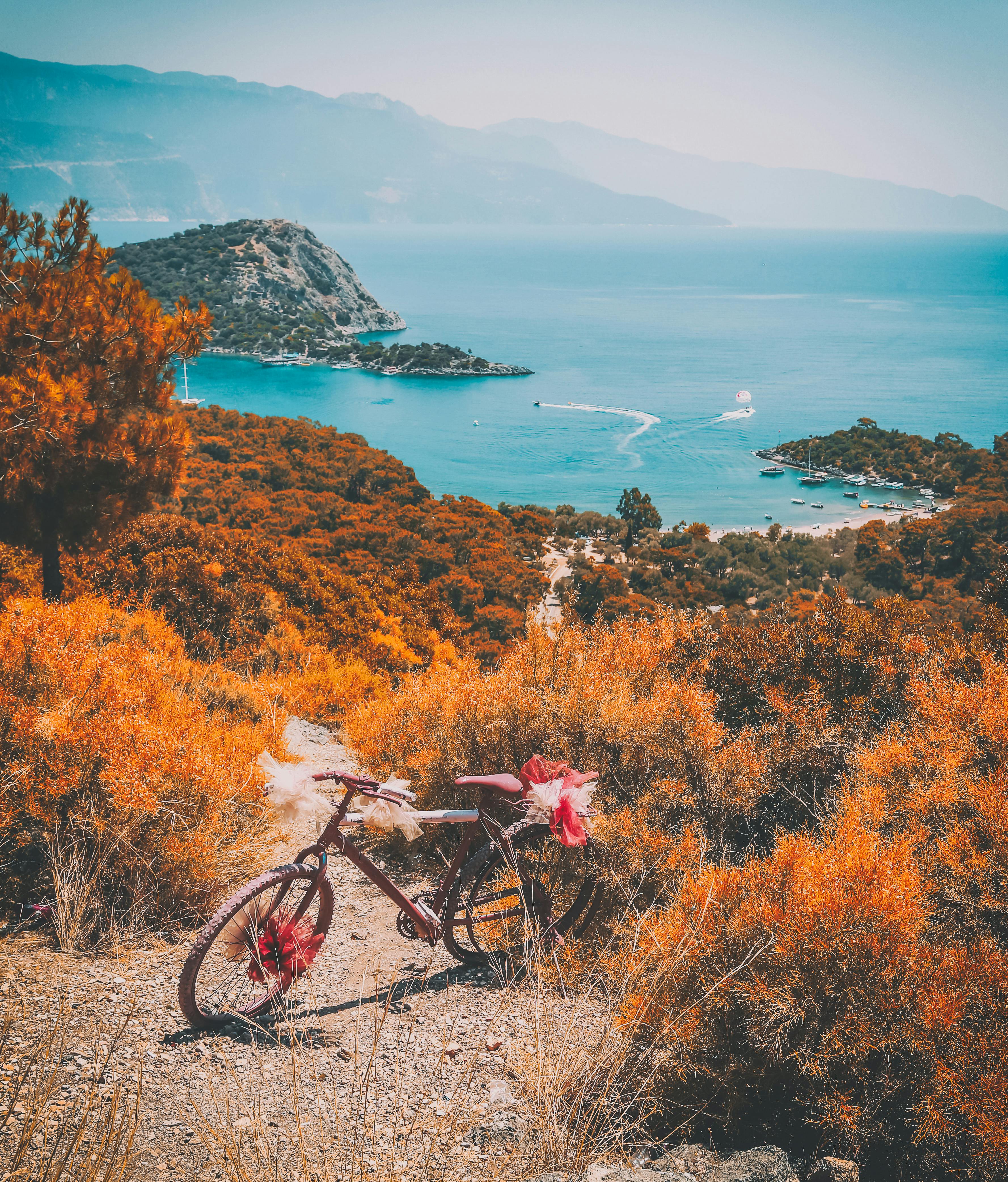 Bike scenery photo Clearance