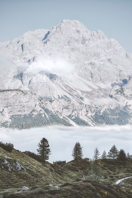 A breathtaking view of snow-capped mountains with fog and lush greenery, creating a serene landscape.