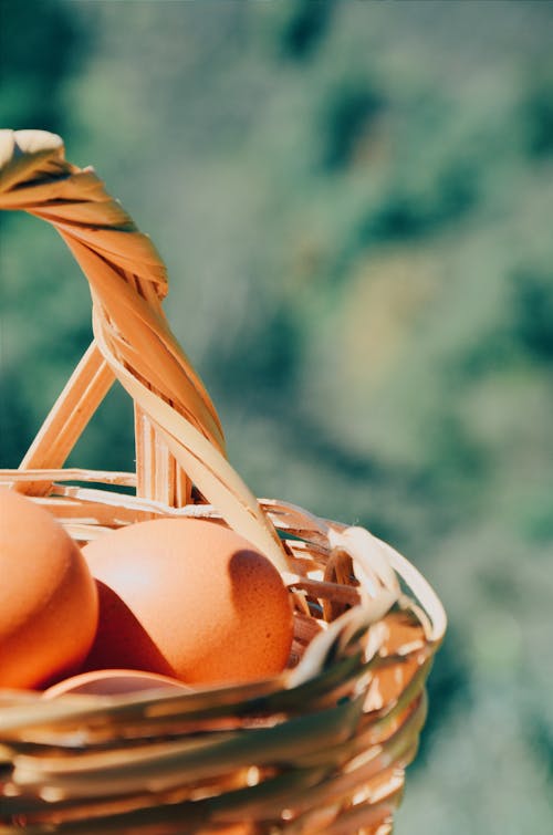 Free Close-Up Photo of Brown Eggs On Basket Stock Photo