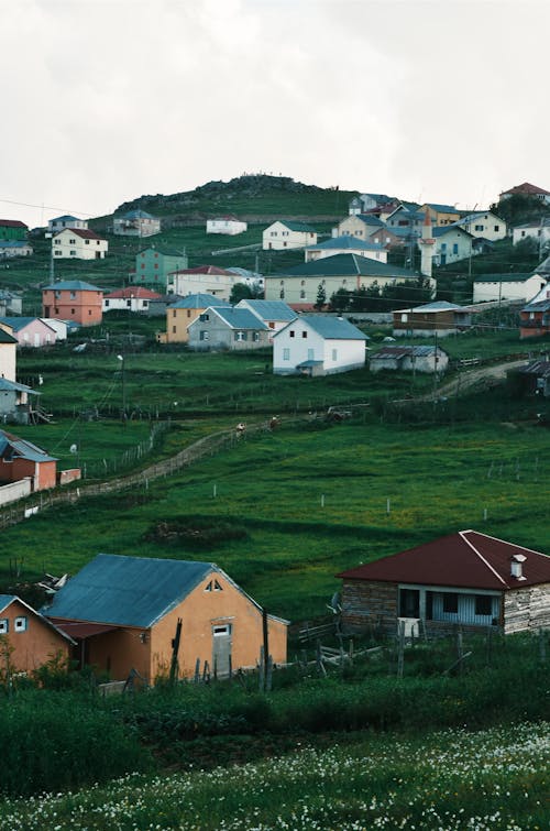 Houses on the Green Hills