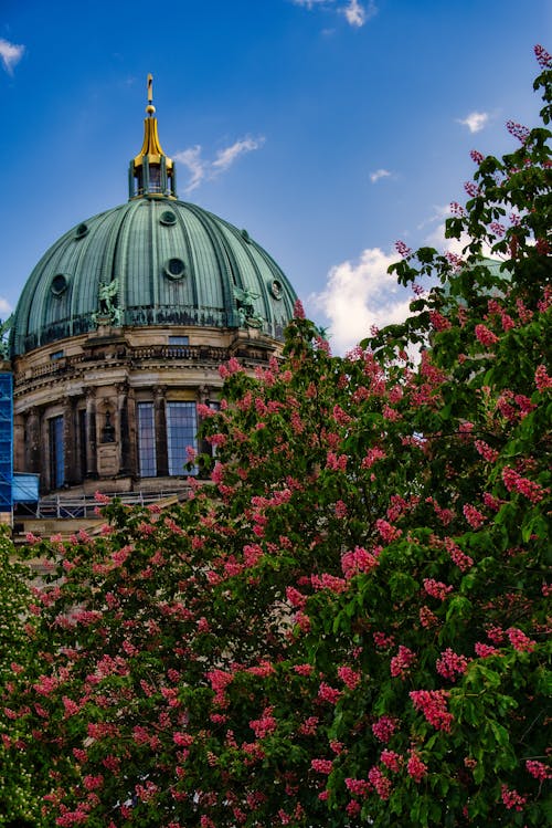 교회, 대성당, 베를린의 무료 스톡 사진