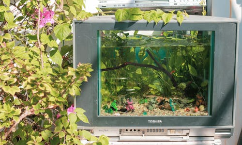 tv aquarium handmade