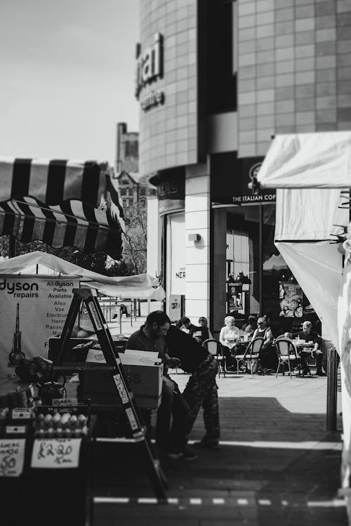 Foto d'estoc gratuïta de adult, blanc i negre, carpa