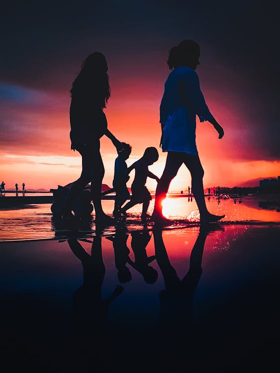 Kostnadsfria Kostnadsfri bild av bakgrundsbelyst, familj, gryning Stock foto