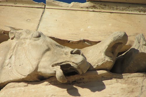 Antik, at, heykel içeren Ücretsiz stok fotoğraf