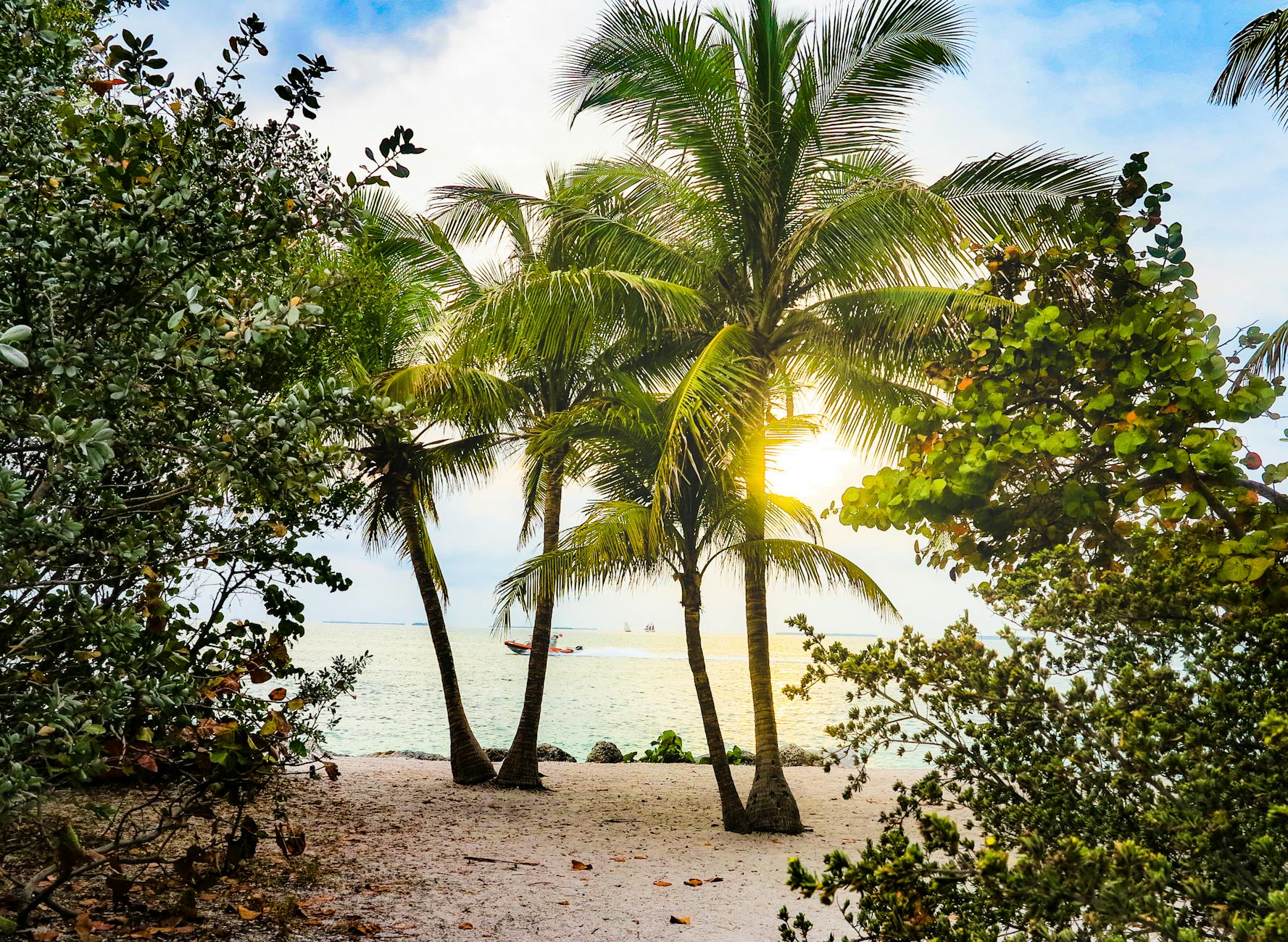 Coconut Grove Key Biscayne waterfront lifestyle with lush tropical landscaping and blue water views