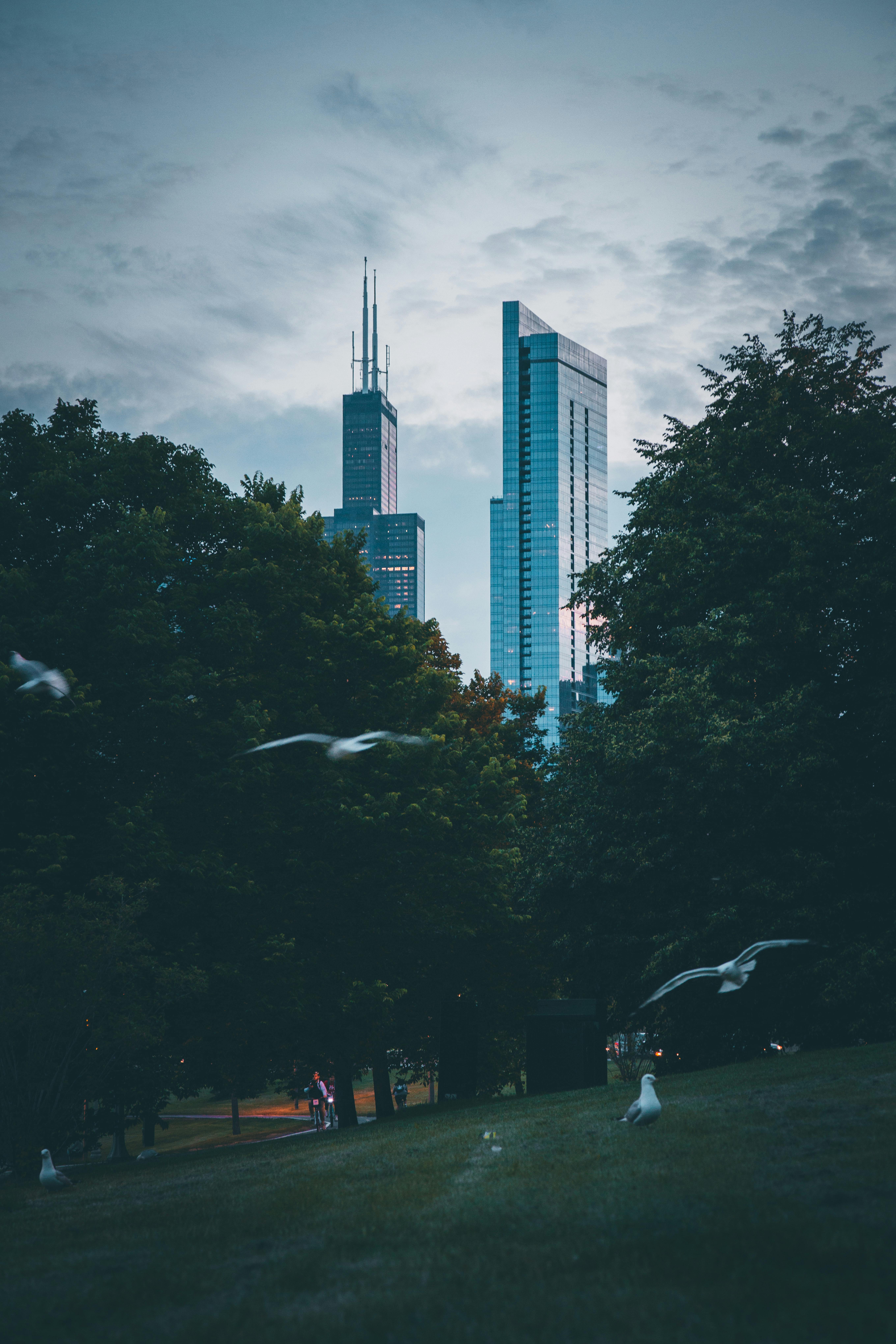 城市天际线怎么建人口合适_城市天际线规划图(3)