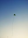 Green Kite Flying on Sky