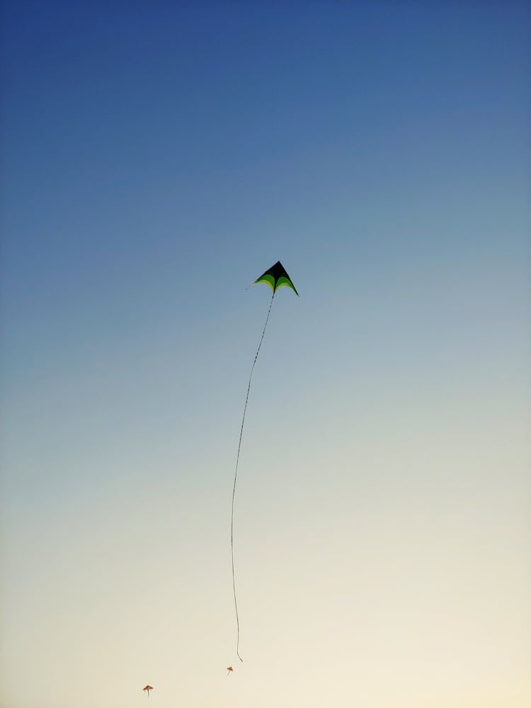 Green Kite Flying On Sky