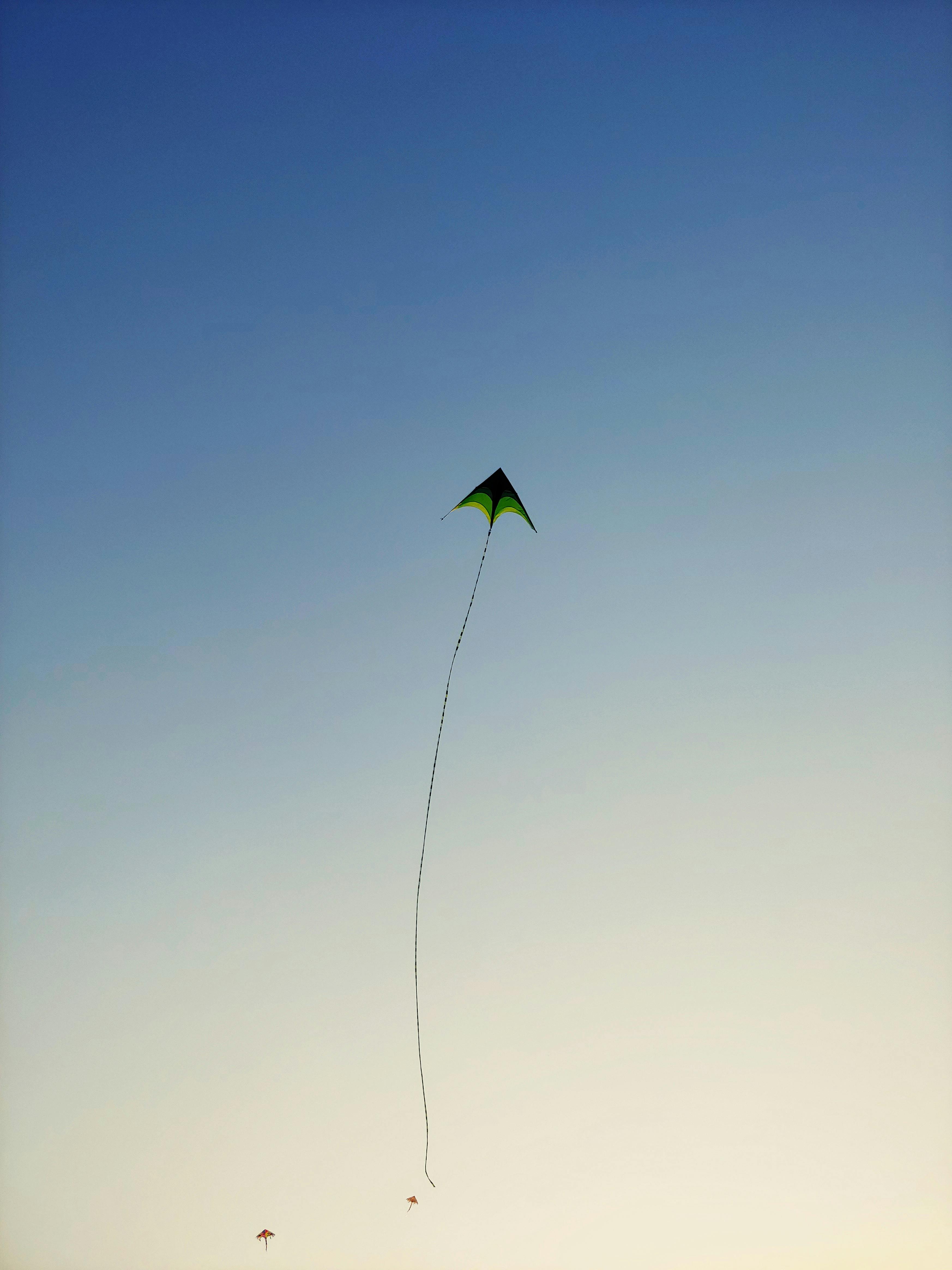 kites flying