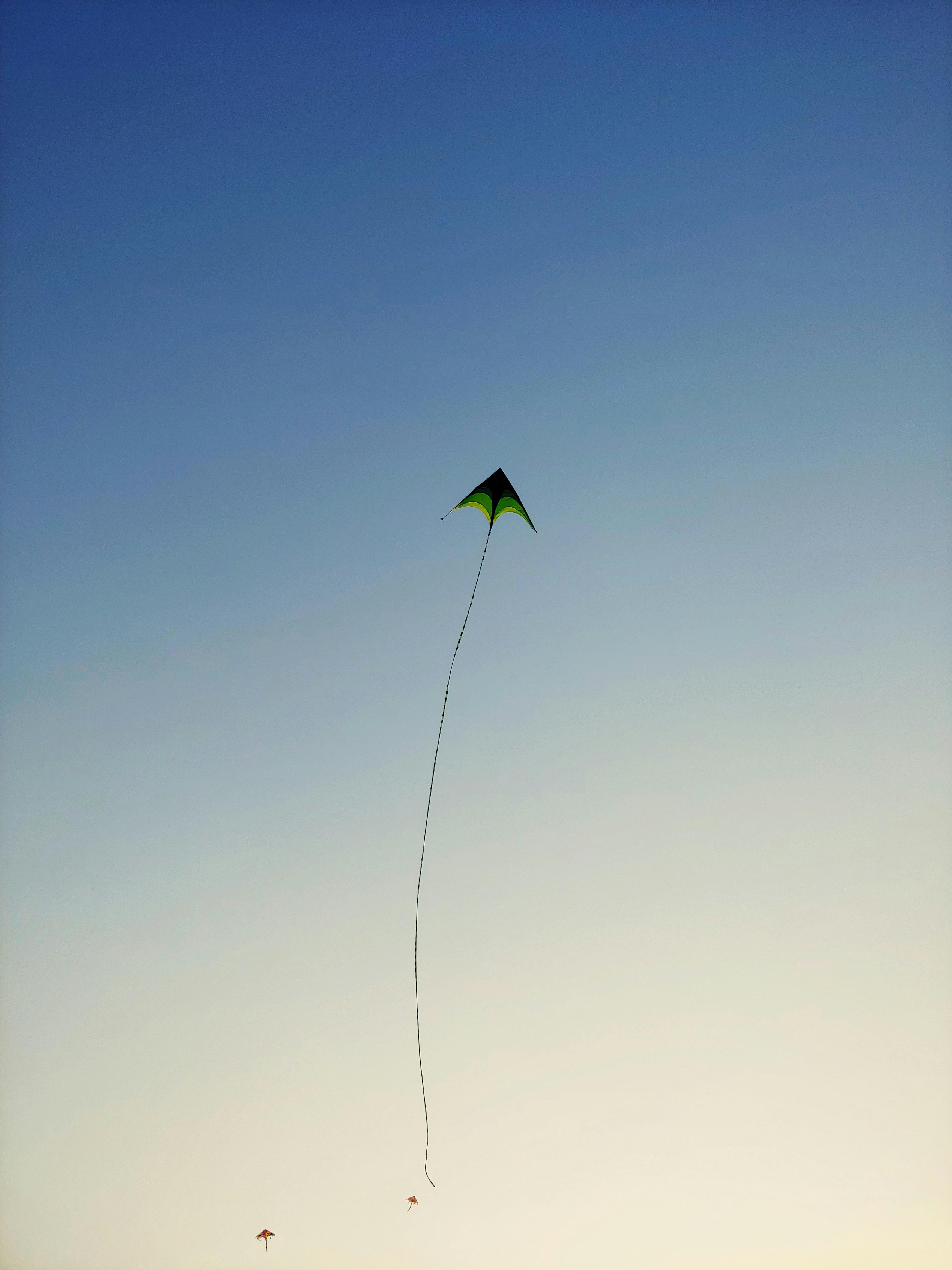 The kite tumblr