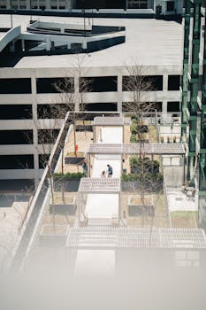 现代城市屋顶露台的鸟瞰图，有两人一狗