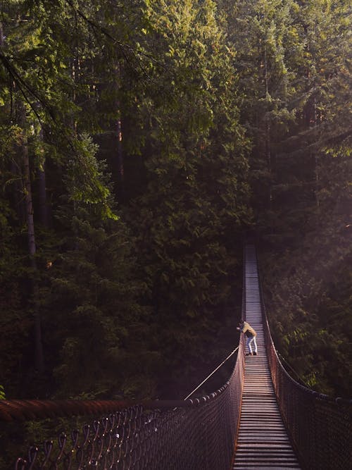 Free Person Standing in Front of Brown Bridge Stock Photo