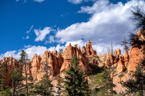 The red rock formations in bryce canyon