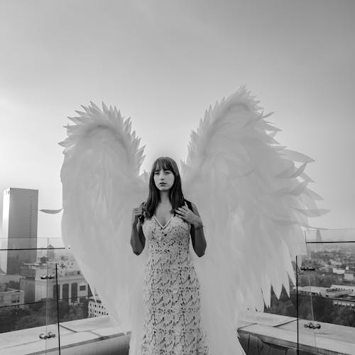 Fotobanka s bezplatnými fotkami na tému anjel, anjeli, anjelské krídla