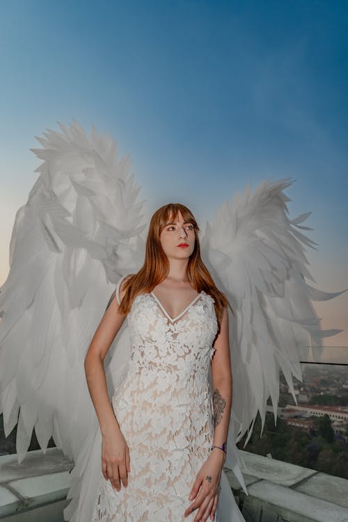 Fotobanka s bezplatnými fotkami na tému anjel, anjeli, anjelské krídla