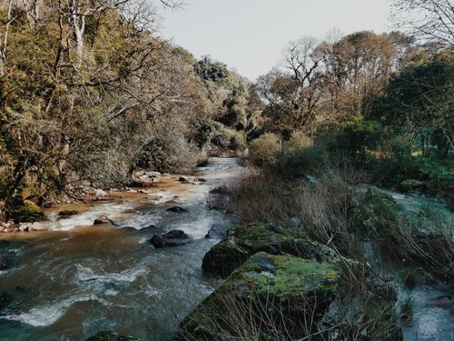 Free A serene stream flowing through a forest with seasonal foliage and rocks. Stock Photo