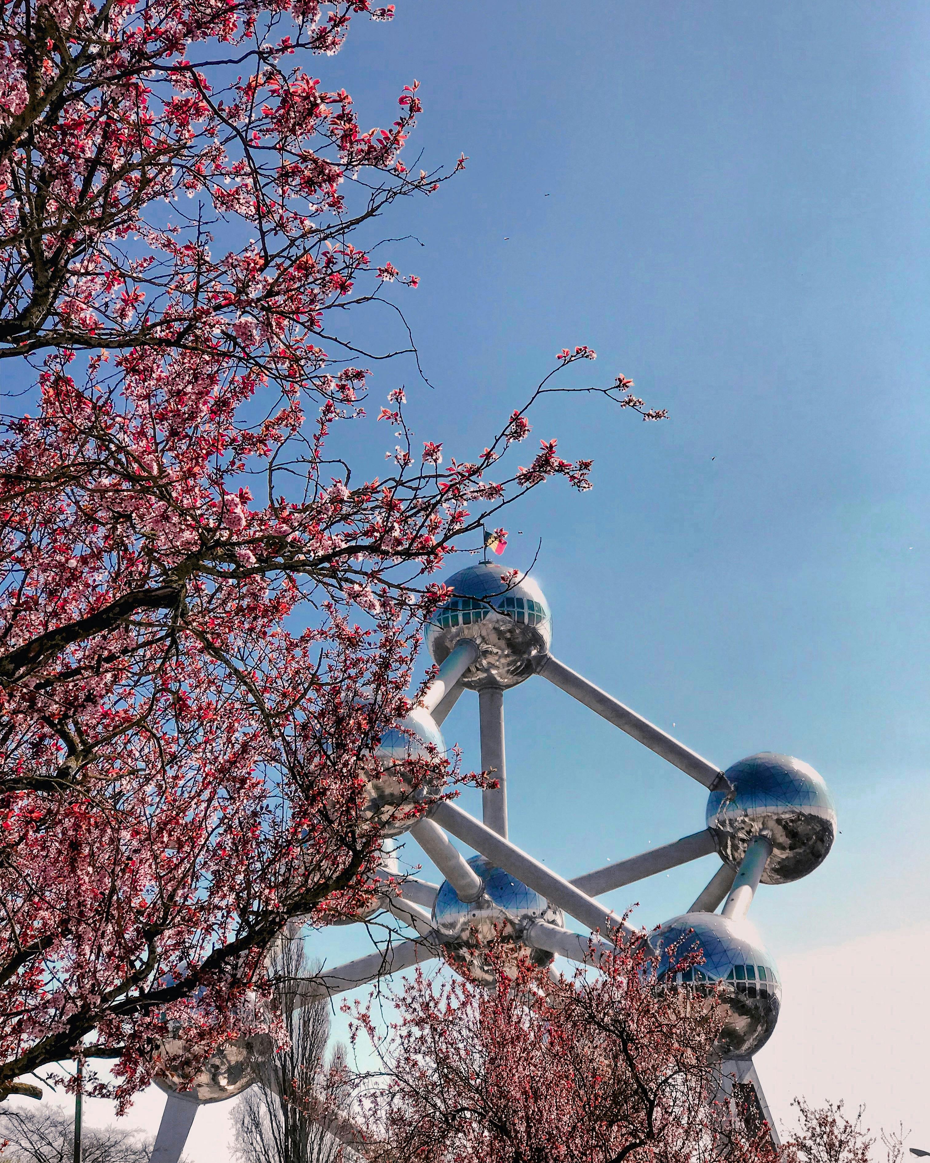 the atomium in brussels