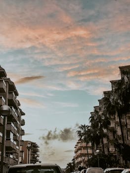 城市建筑和街道两旁的棕榈树，在日落时分呈现出迷人的景观