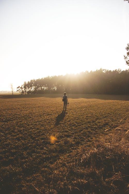 A person on Green Grass Field Near Trees at Sunset