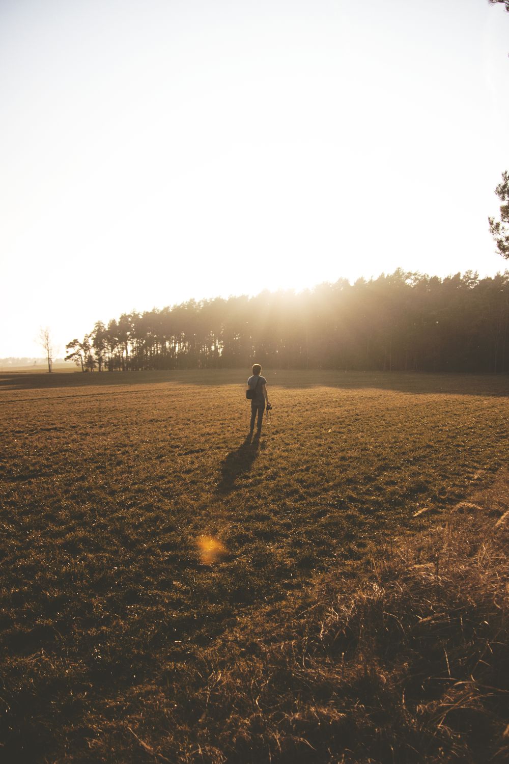 A person on Green Grass Field Near Trees at Sunset · Free Stock Photo
