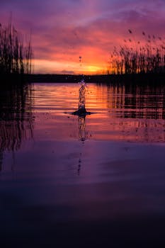 水面上映着令人惊叹的日落，倒影充满活力，莱茵斯堡的水花也显得格外戏剧性