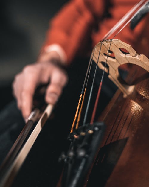 Free Person Playing Stringed Instrument Stock Photo