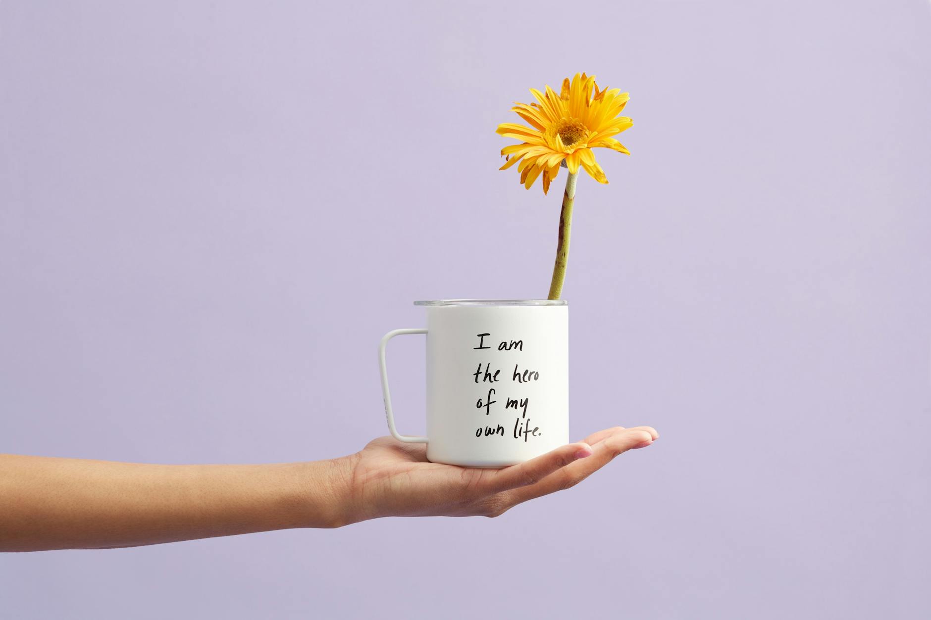 https://www.pexels.com/photo/yellow-petaled-flower-in-white-mug-2228585/