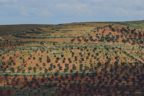 Free Scenic landscape of terraced farmland in Idlib Governorate, Syria. Stock Photo